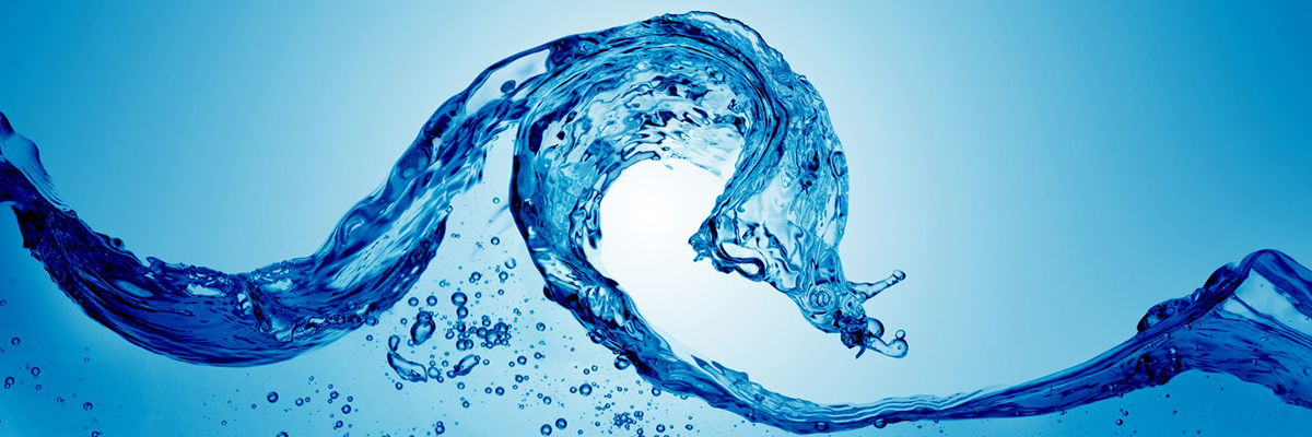 NOI E “LE FORME DELL’ACQUA”