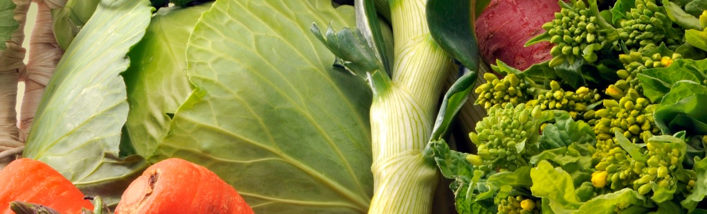 Agricoltori a scuola