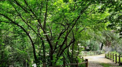 Classi seconde della primaria: natura, storia e arte presso la Riserva del Monte Genzana di Pettorano