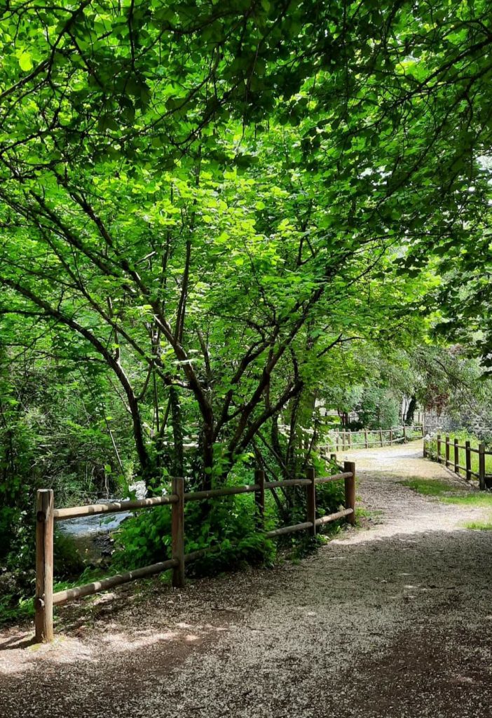 Classi seconde della primaria: natura, storia e arte presso la Riserva del Monte Genzana di Pettorano
